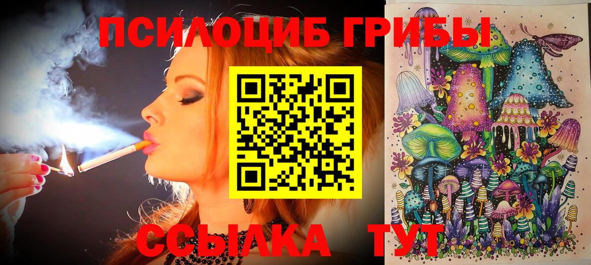 Псилоцибиновые грибы GOLDEN TEACHER  Вход с VPN  Междуреченск 