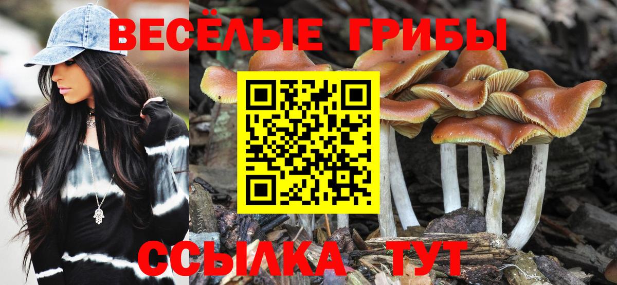 Галлюциногенные грибы GOLDEN TEACHER Междуреченск